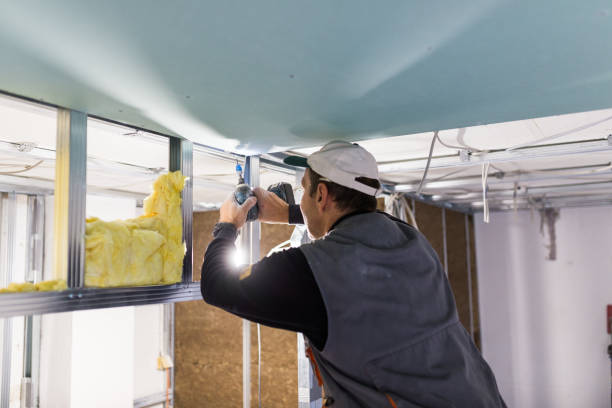 Best Professional Insulation Contractor  in North Merritt Island, FL