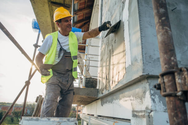 Best Insulation Removal  in North Merritt Island, FL